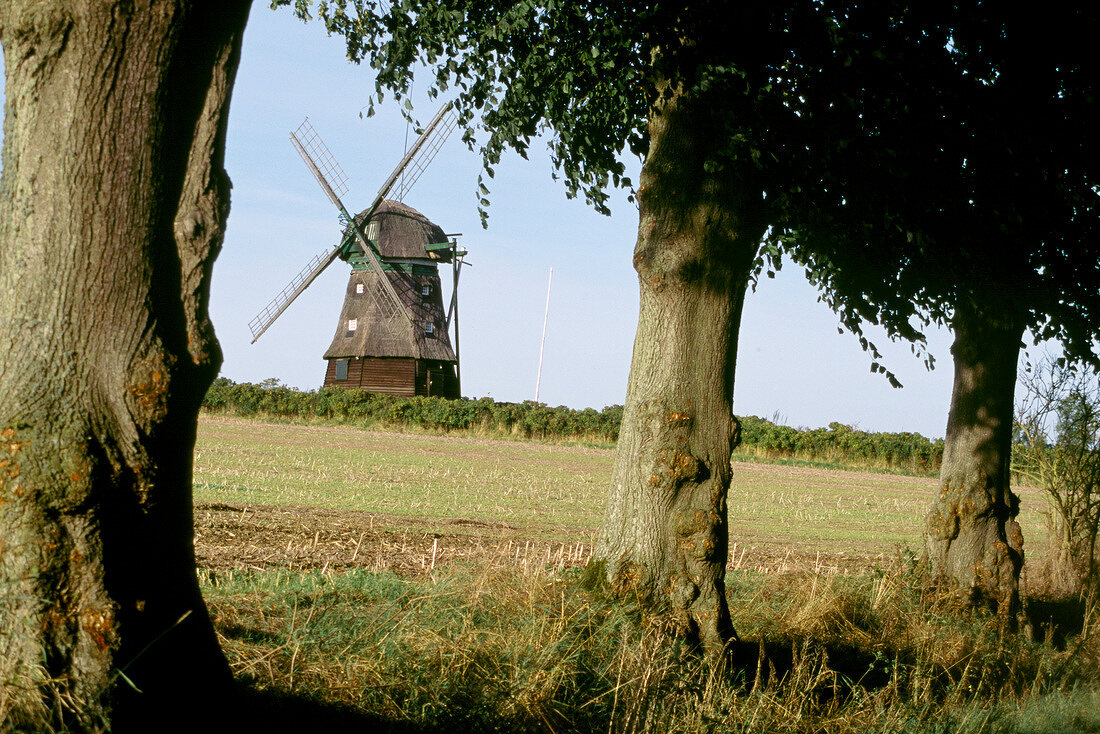 View of an old windmill through trees in the countryside.