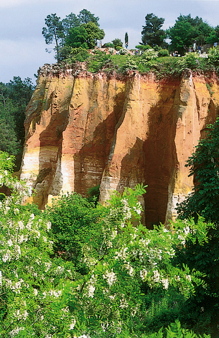 Ein Ockerbruch in der Nähe von Roussillon