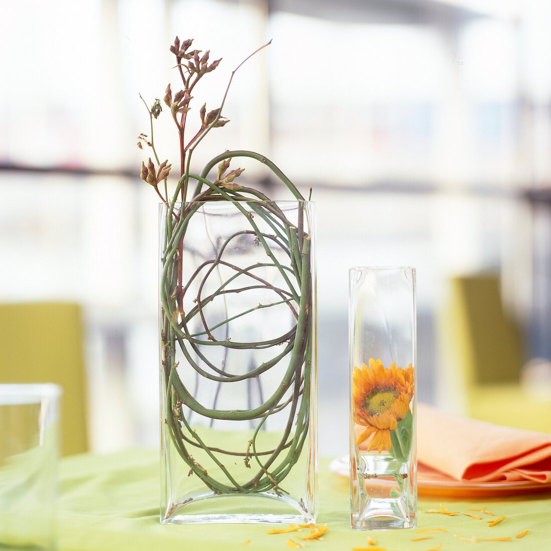 Blumendeko: Zweige in einer Glasvase und Blüte im Glas.