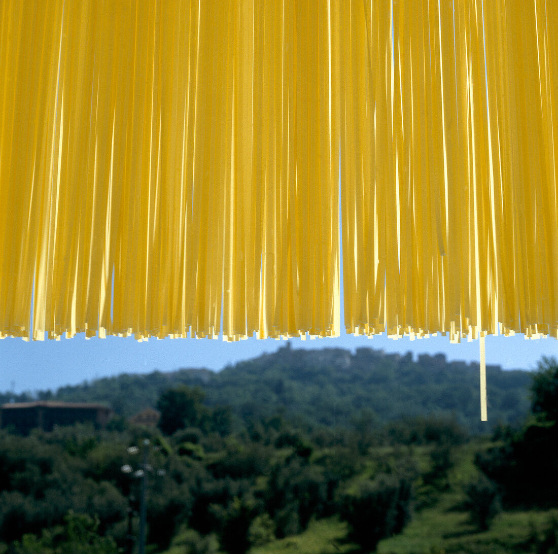 Noodles hanged and getting dry with mountains in background