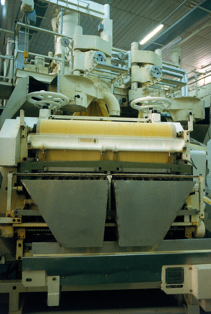 Teigwaren.  Vollautomatische Nudelproduktion, Italien