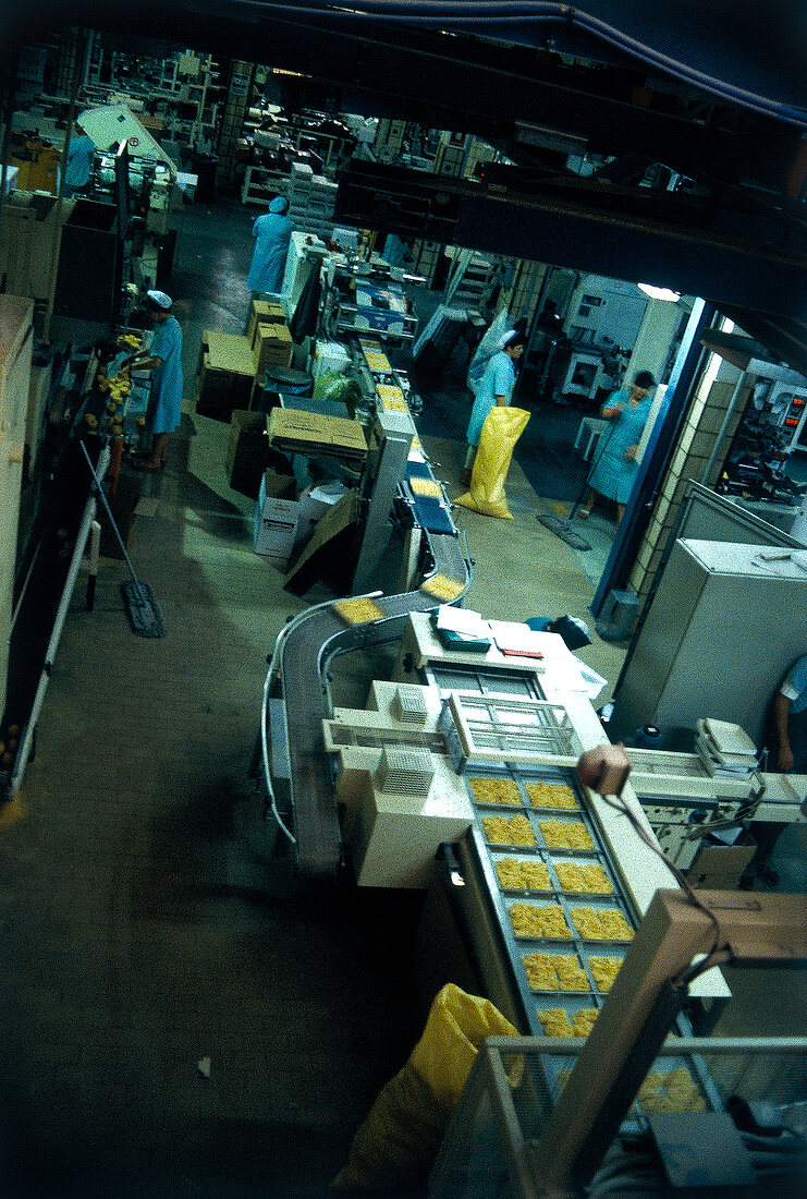 Packaging of noodles in noodle factory, Italy