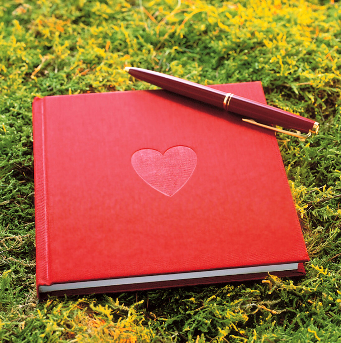 Tagebuch in Rot mit Vertiefung in Herzform + Schreiber liegen im Moos