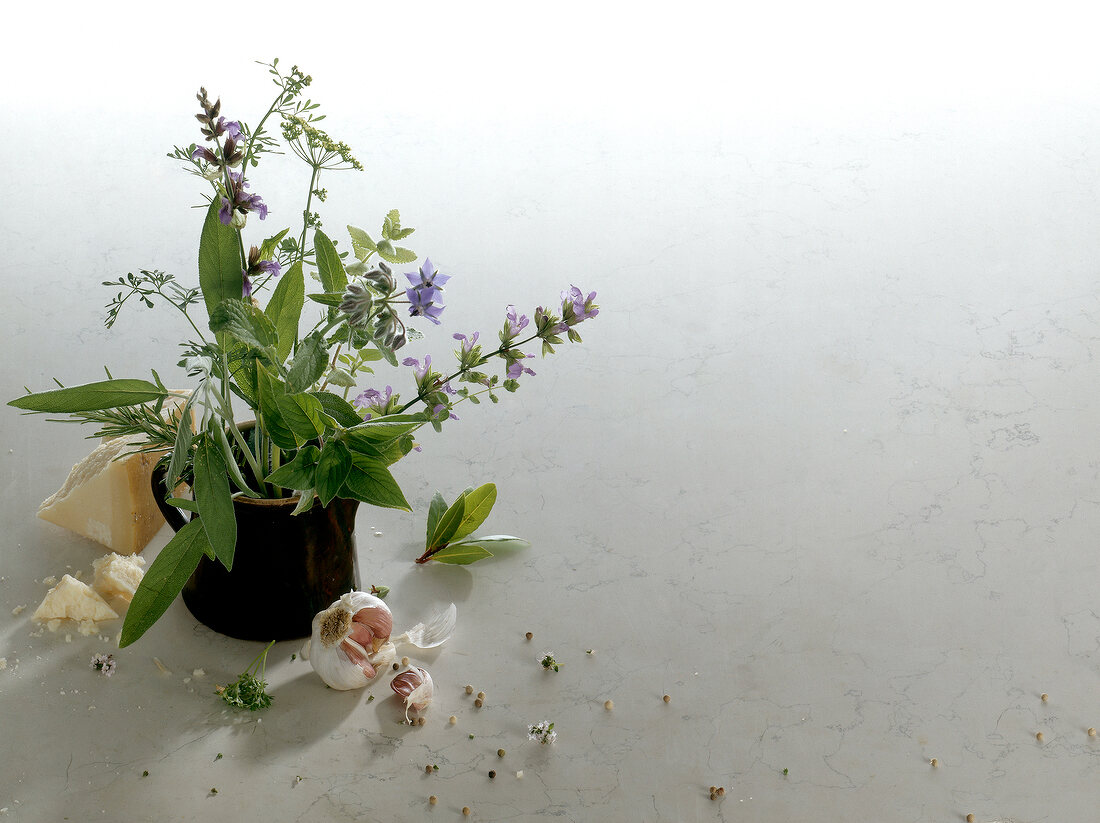 Jug with fresh herbs and hard cheese, garlic cloves on white background, copy space