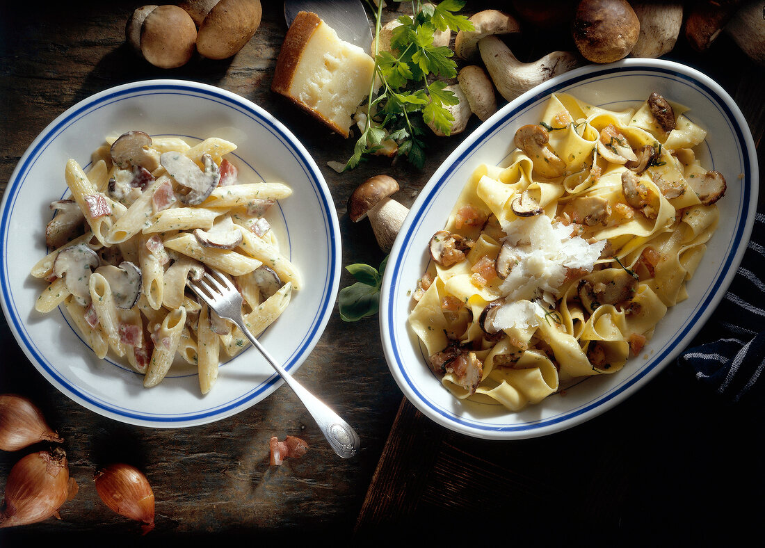 Penne rigate and pappardelle with porcini mushrooms on two plates