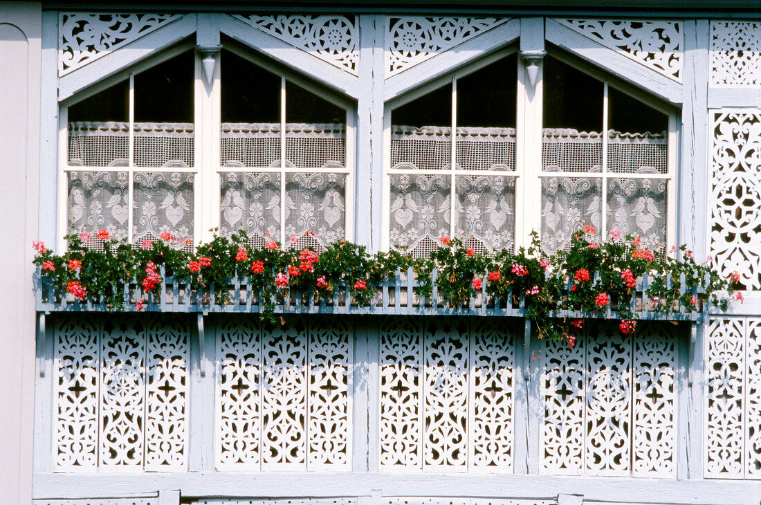 Carved windows on houses and flowers, Switzerland