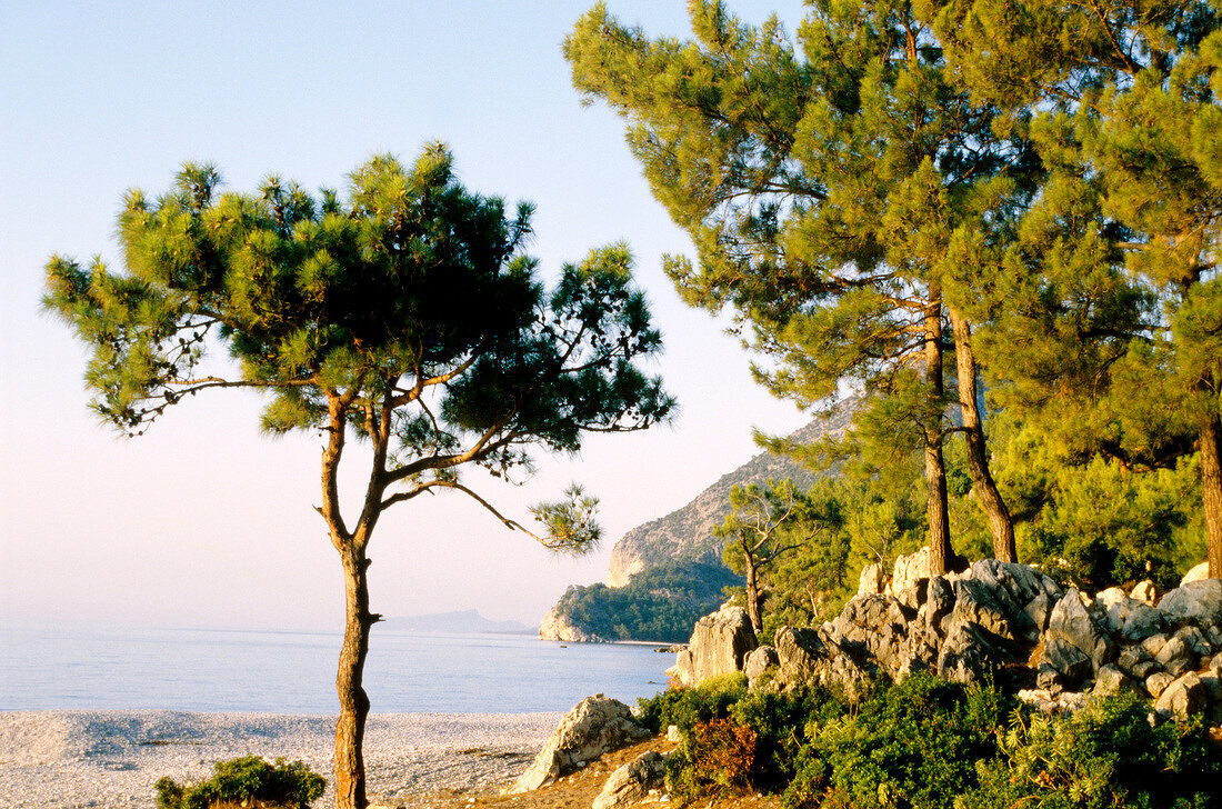 Blick auf Landschaft in der Türkei Felsenküste, Bäume, Meerblick