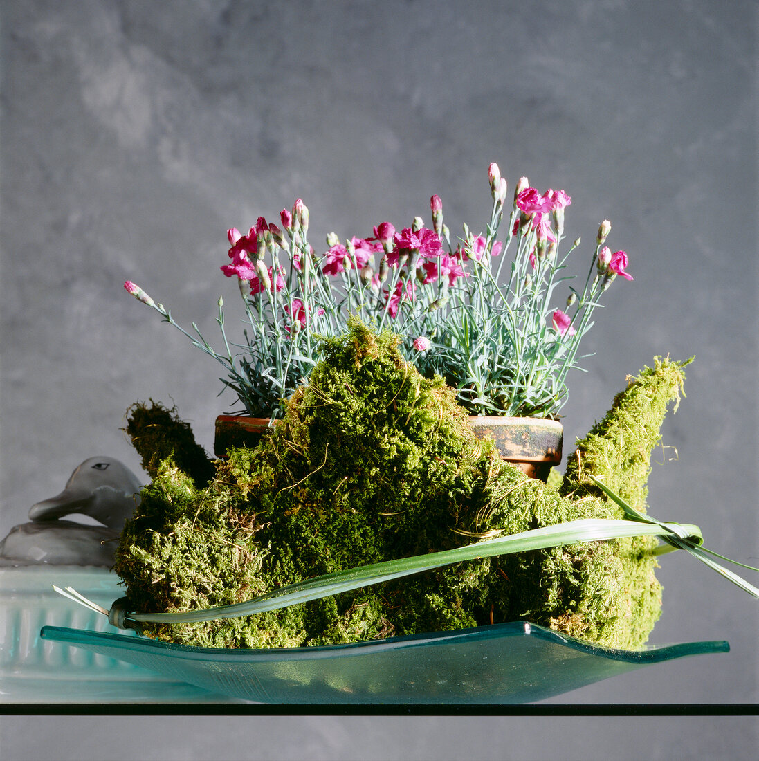 Close-up of moss basket with flowers in glass bowl