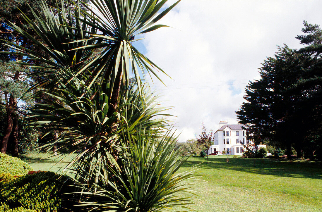 Blick auf ein Haus in einem großen Garten mit Palmen in Irland