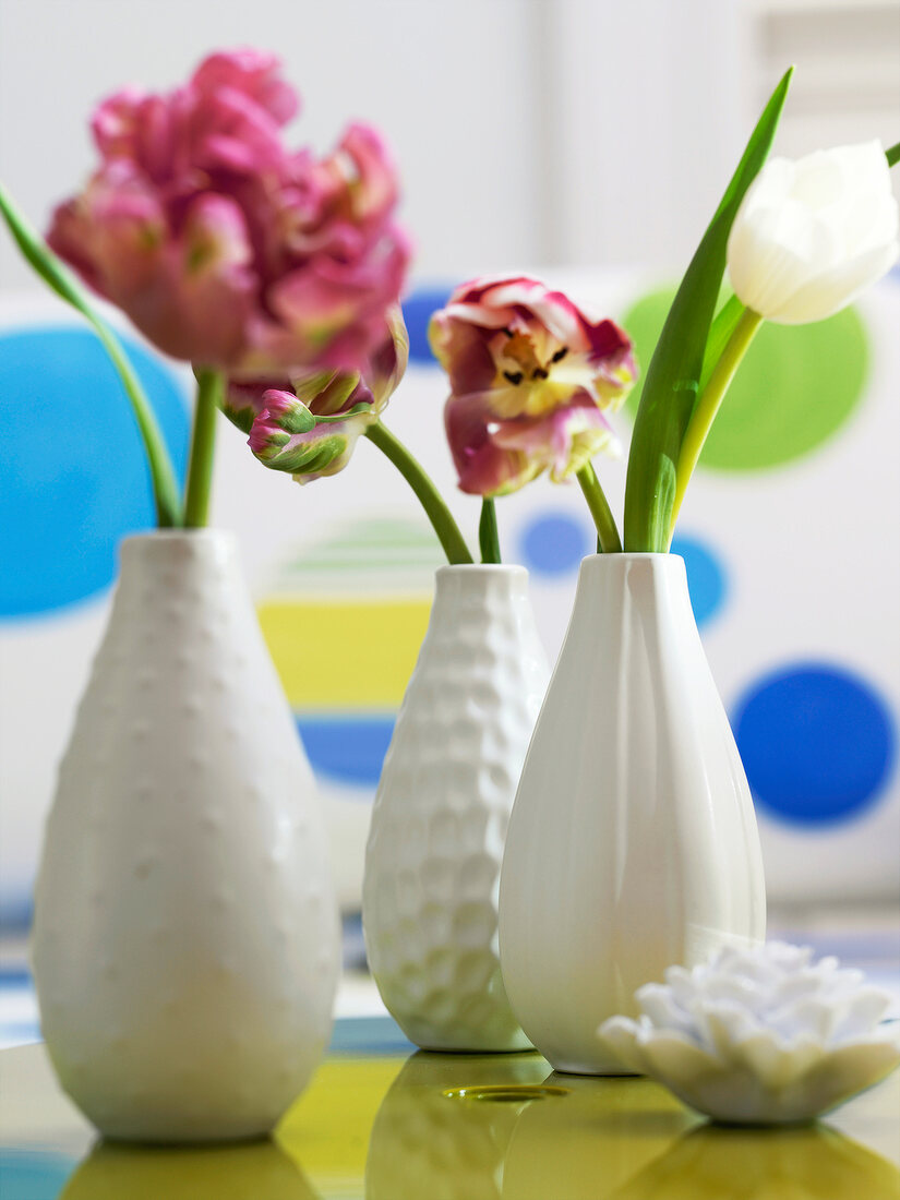 Drei Tulpen in kleinen weissen Flaschenvasen,Hintergrund