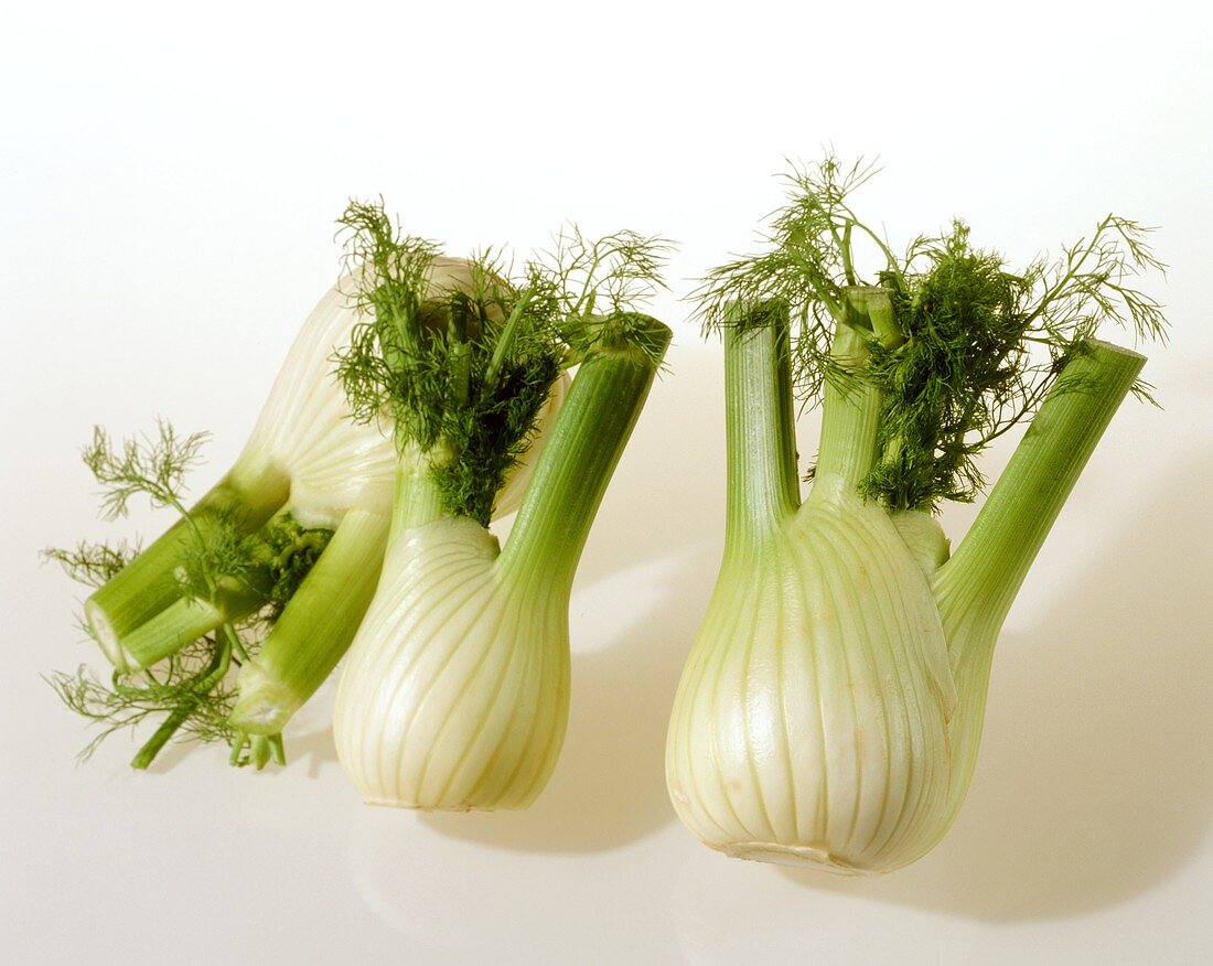 Three Fennel Bulbs