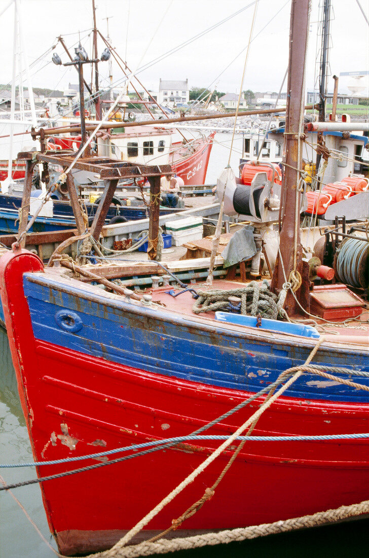 Several fishing boats at harbour of Dingle in Ireland