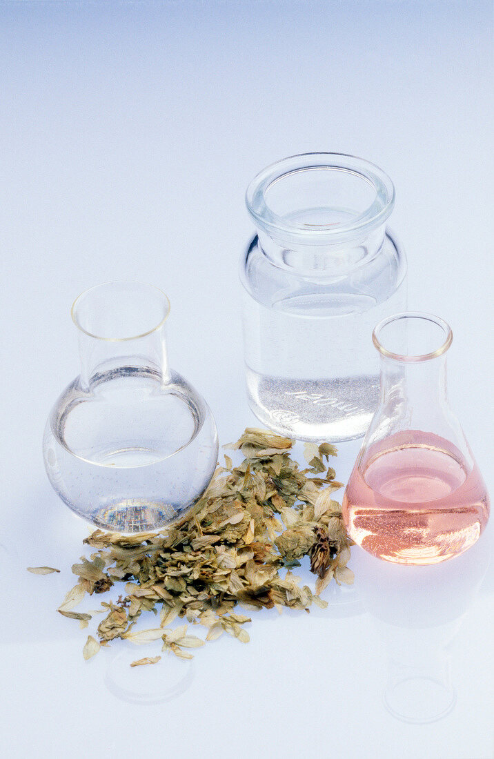 Close-up of ingredient for preparation of hop tonic on white background