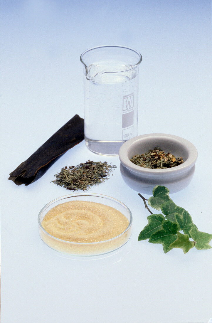 Close-up of ingredient for preparation of algae cream on white background