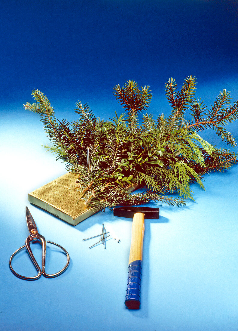 Nailed fir branches on wooden board covered with golden paper