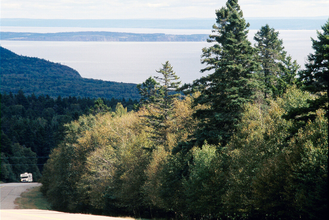 Blick auf die Bay of Fundy über Wälder im Südosten Kanadas