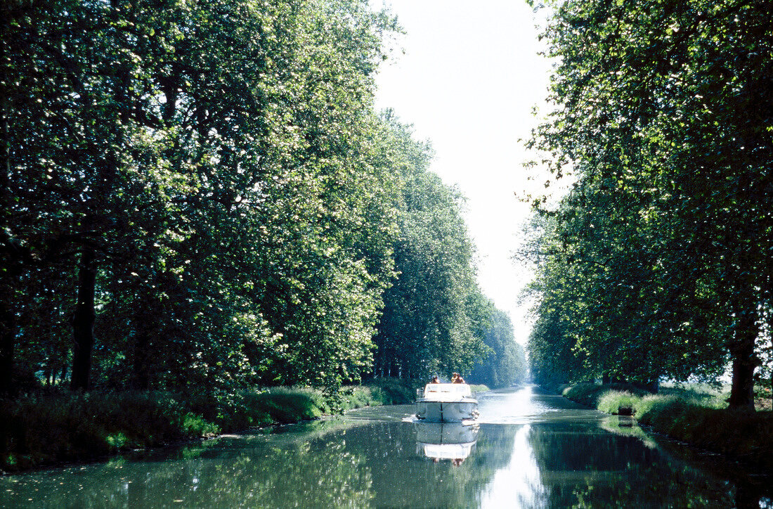 Boot auf dem Canal du Midi, umsäumt vom Bäumen.