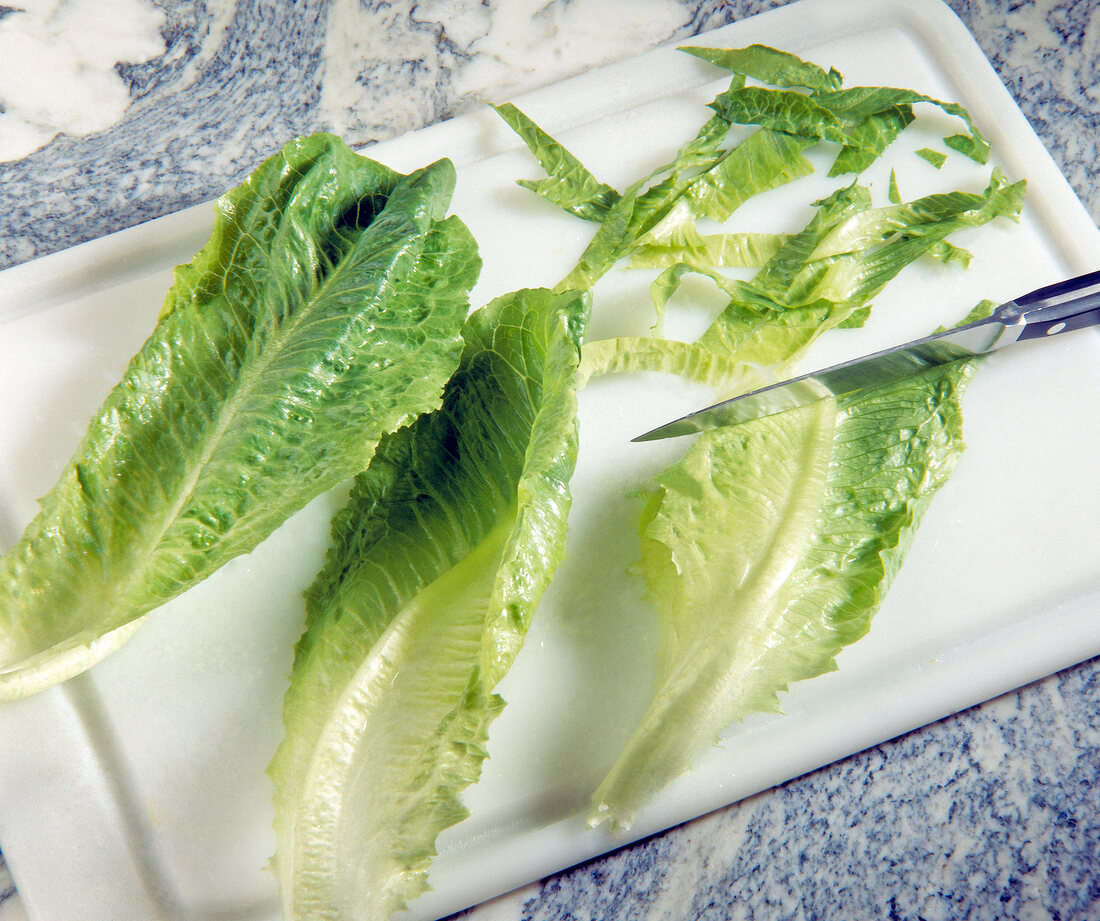 Salatblätter in Streifen schneiden, Step.