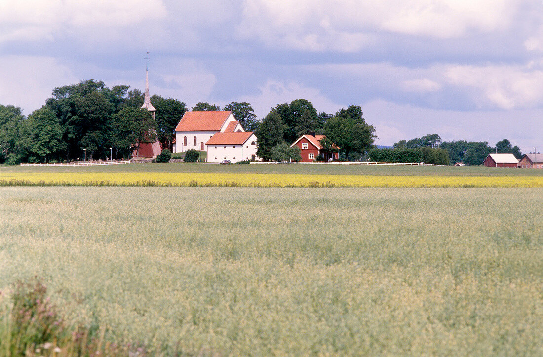 View of village and fields of rapeseed in Sweden