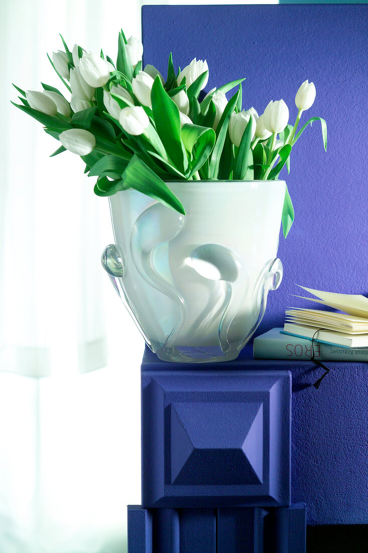 Blumenvase mit weißen Tulpen auf lila Mauer