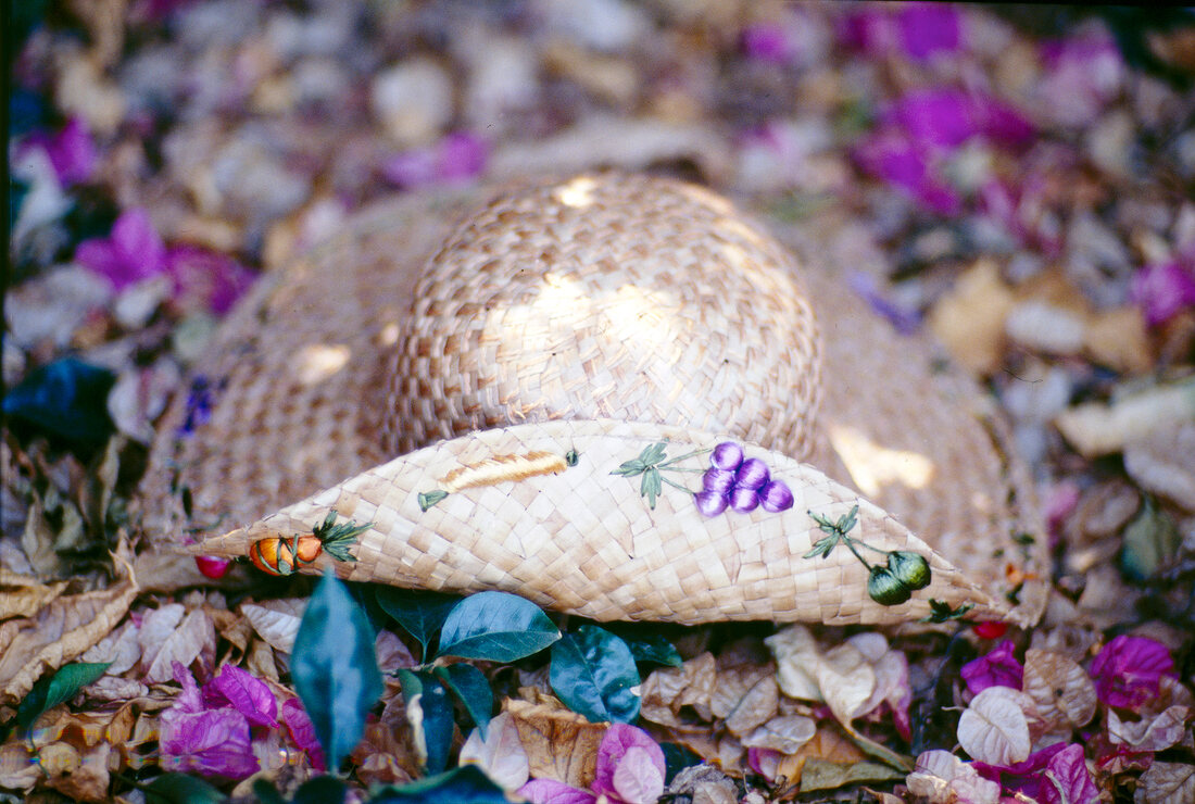 Close-up of straw hat with colourful fruit design on brim