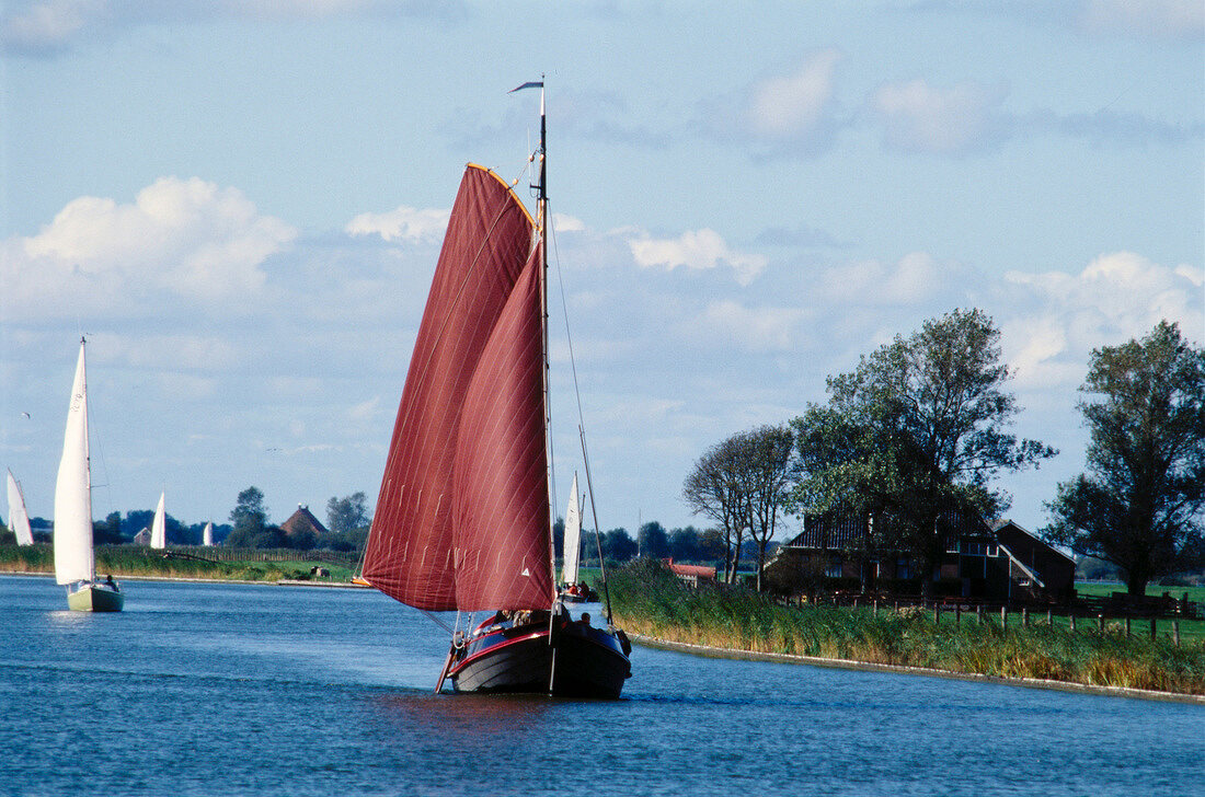 Flat-bottomed boats with large sail on a river