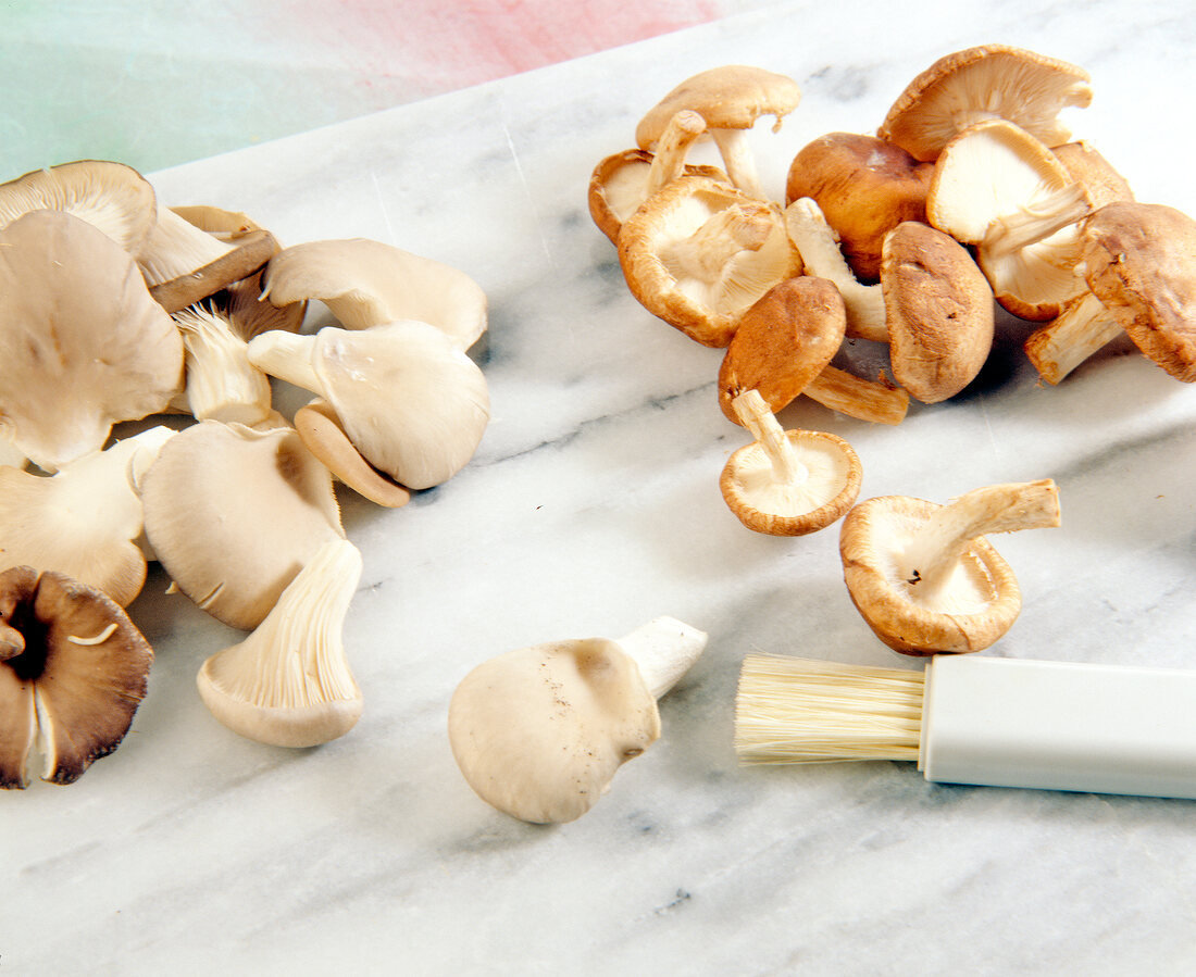 Shiitake and oyster mushrooms and mushroom cleaning brush on marble