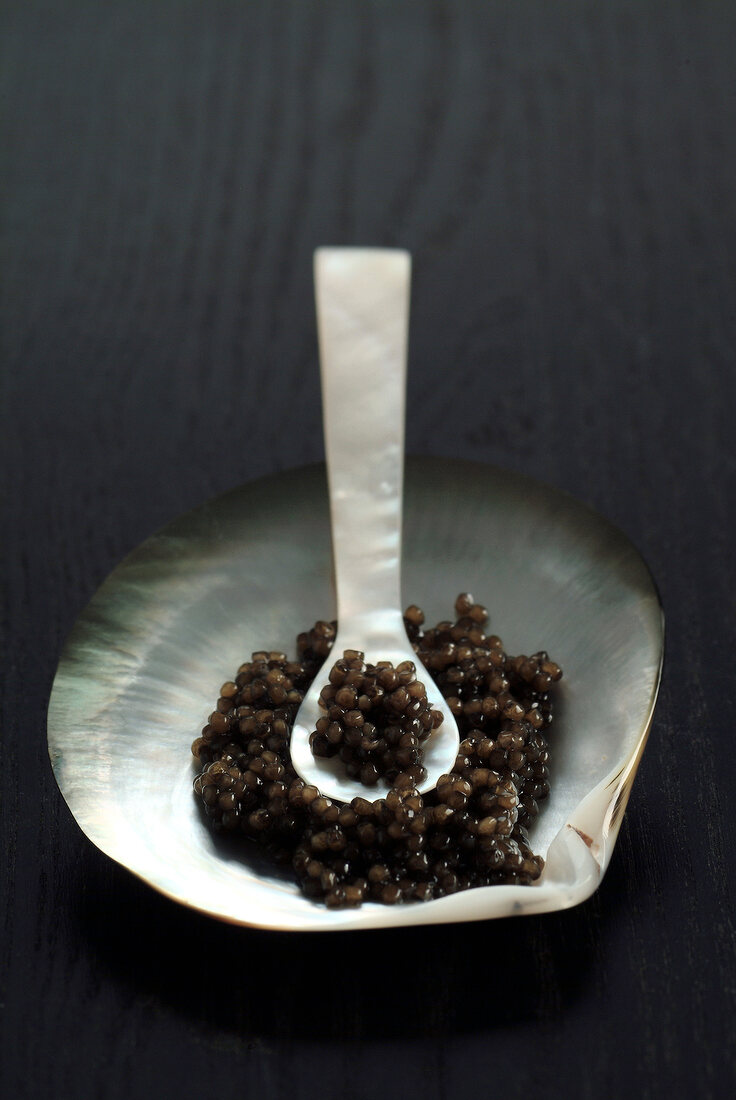 Close-up of Russian caviar in seashell with pearl spoon