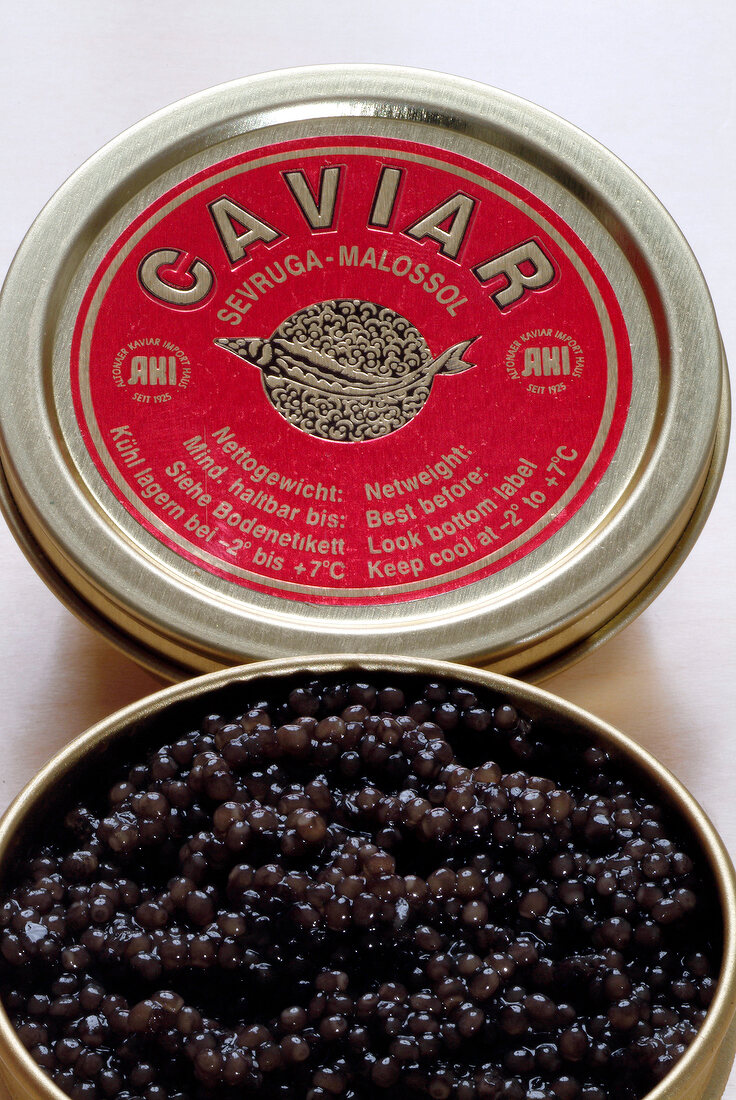 Close-up of Russian sevruga caviar in box
