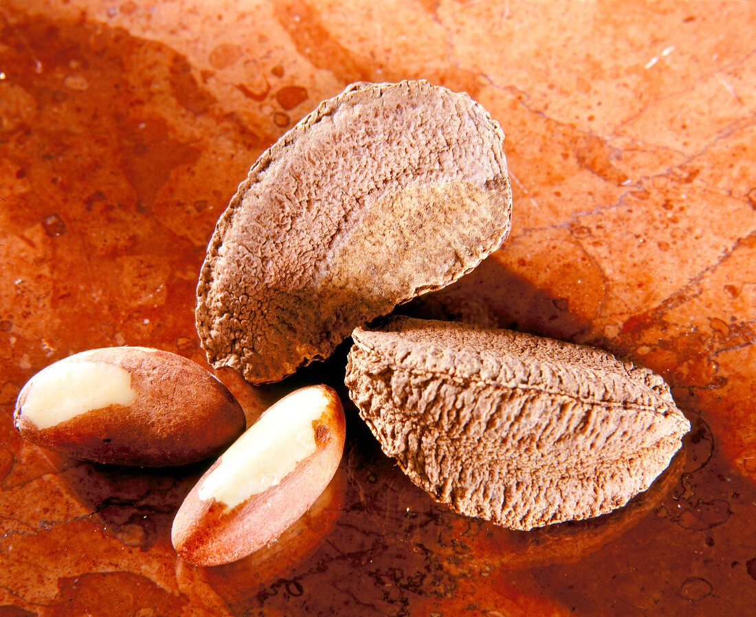Close-up of shelled and unpeeled brazil nuts