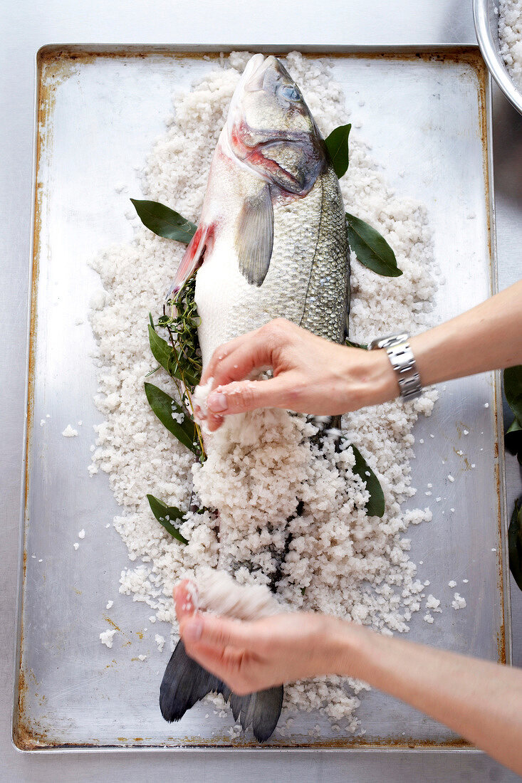 Sea bass with herbs in abdominal cavity being rub with salt