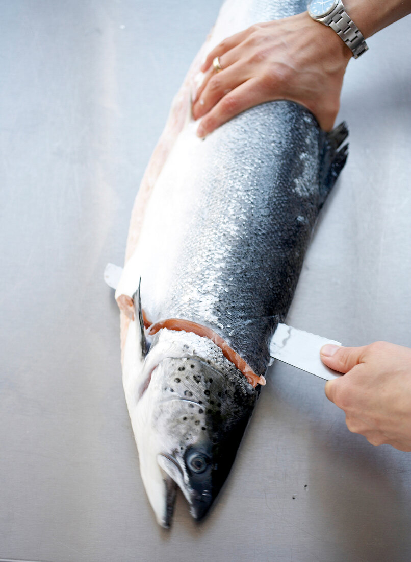 Cutting fillet behind the gills