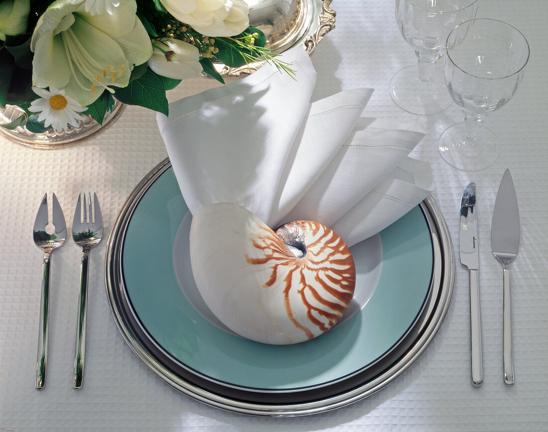 Large shell with linen napkin on plate