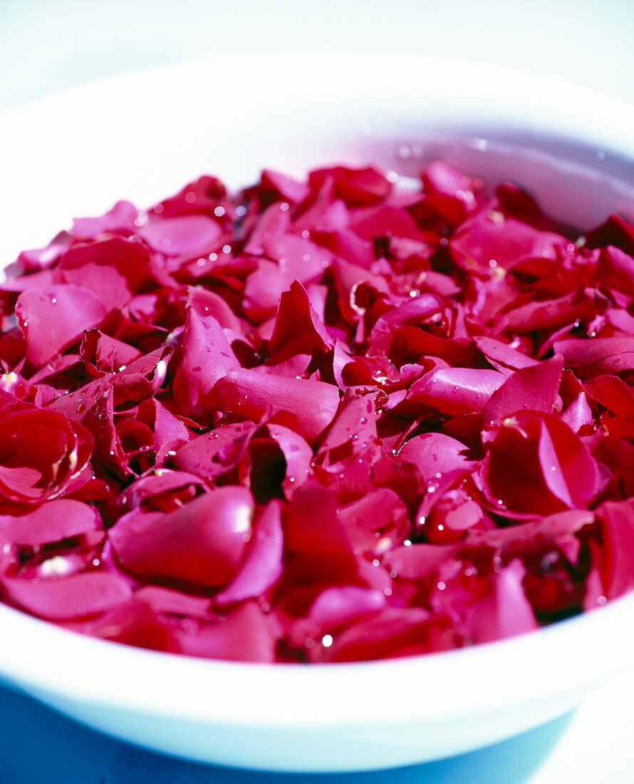 Close-up of red rose petals kept in white bowl with water sprinkled on it