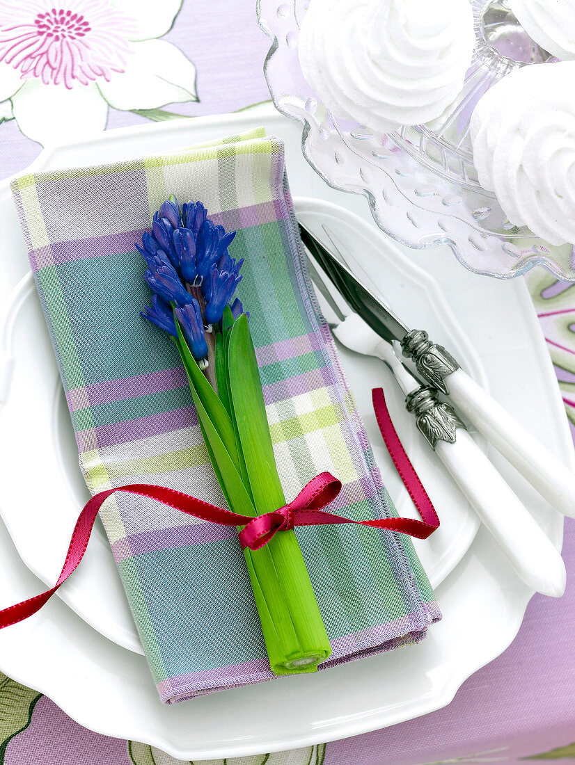 Hyacinth tied with ribbon on napkin