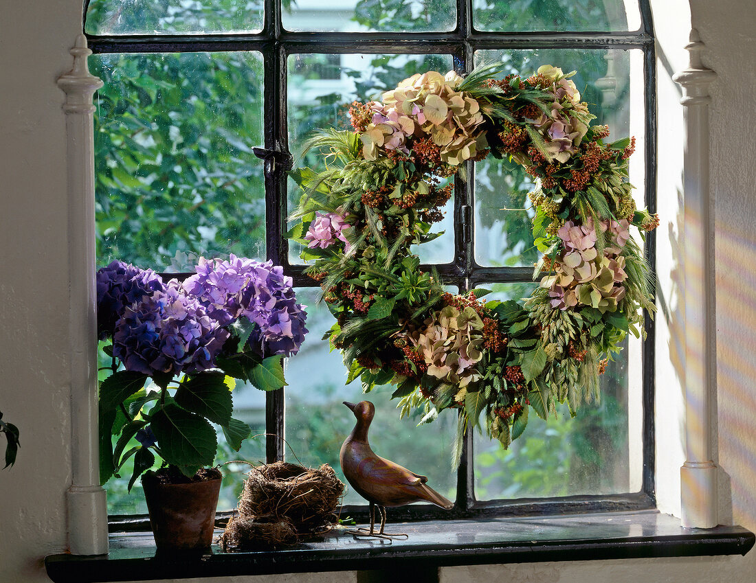 Hydrangeas in plant pot with nest, bird statue and wreath against window