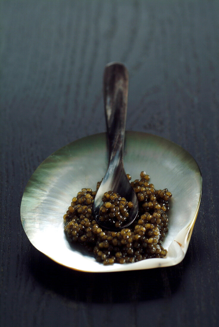 Russian caviar in serving shell with mother of pearl spoon