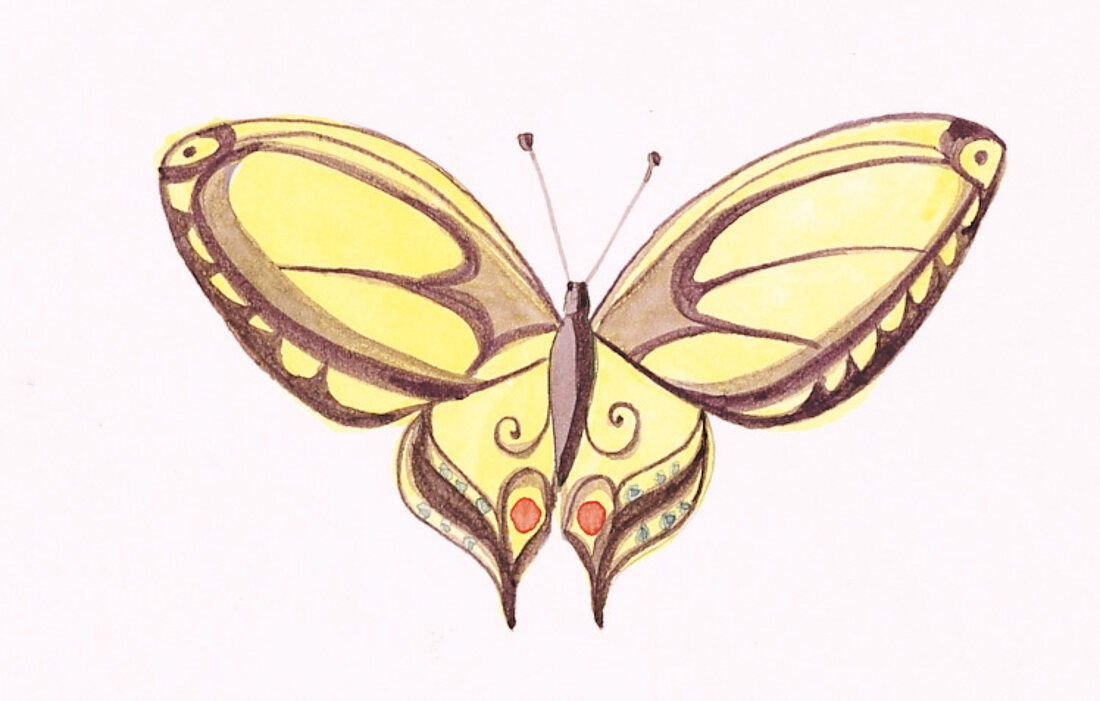gelb-brauner Schmetterling 