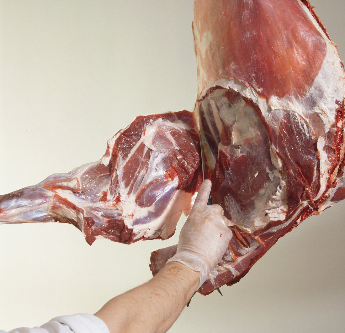 Fallow deer being cut while disassembling, step 1