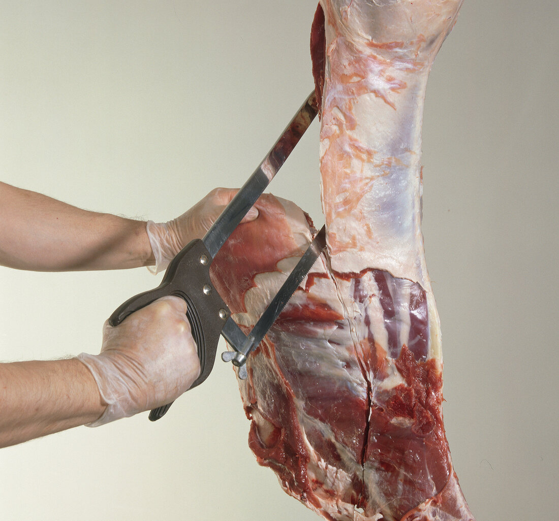 Hand cutting ribs of fallow deer, step 5