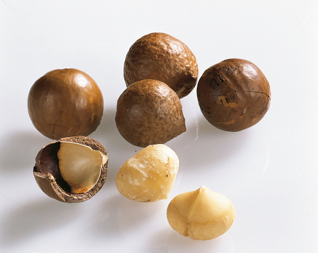 Asiatisch, Macadamia-Nüsse, braune Schale, heller Kern