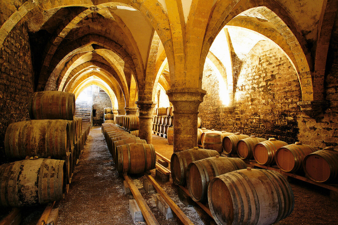 Wine barrels in winery cellar, Arbois, France