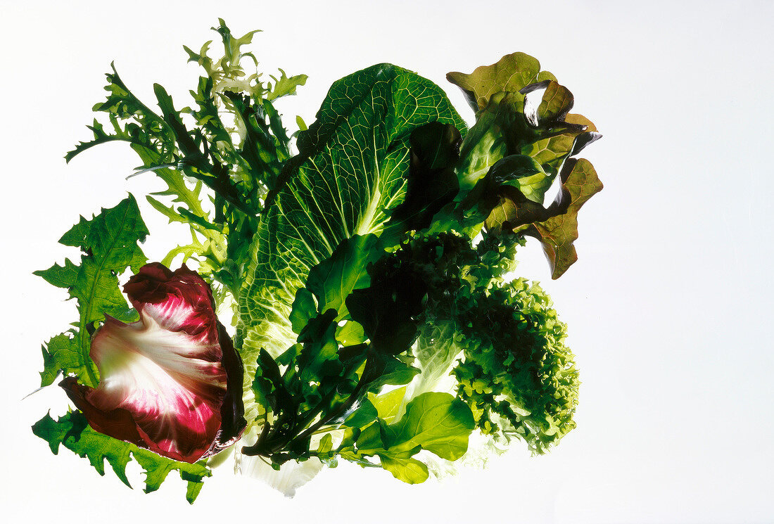 Various leafy vegetables on white background