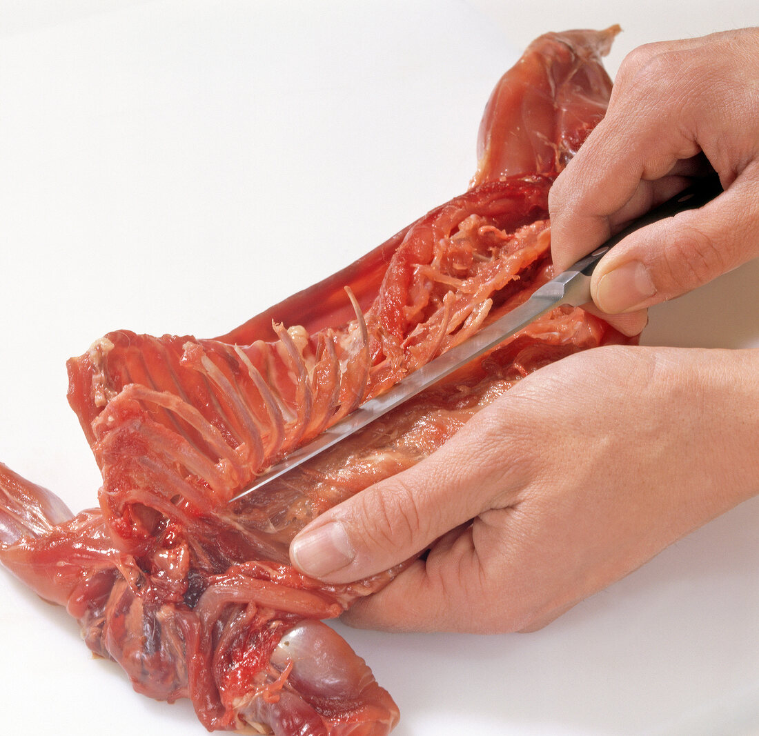 Rabbit being cut with knife, step 1