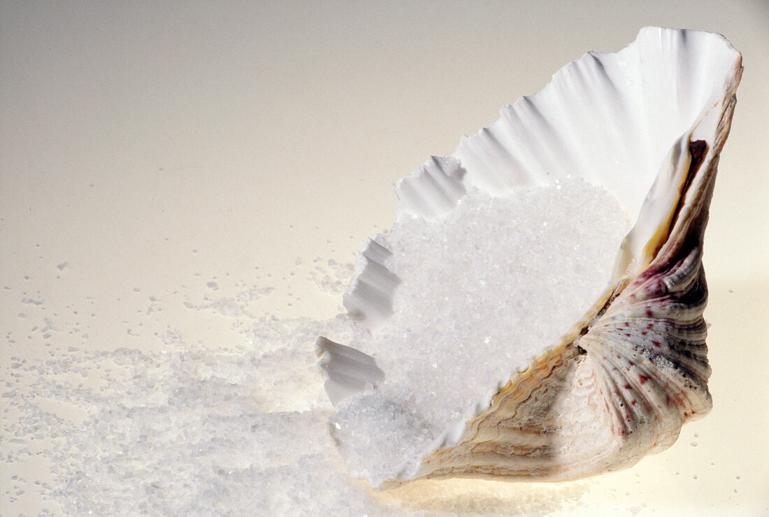Close-up of a shell filled with sea salt for bathing