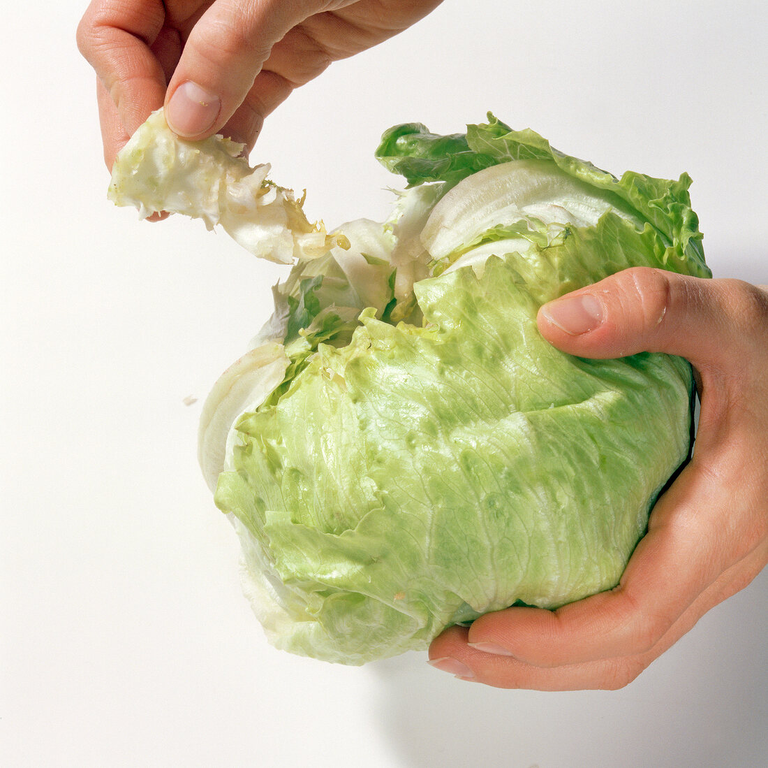 Close-up of removing core from cabbage, step 3