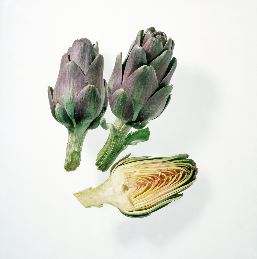 Artichokes on white background