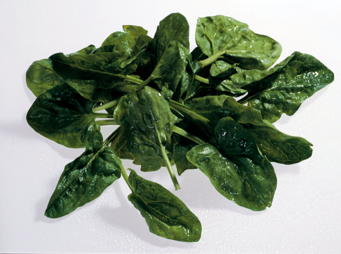 Autumn spinach on white background