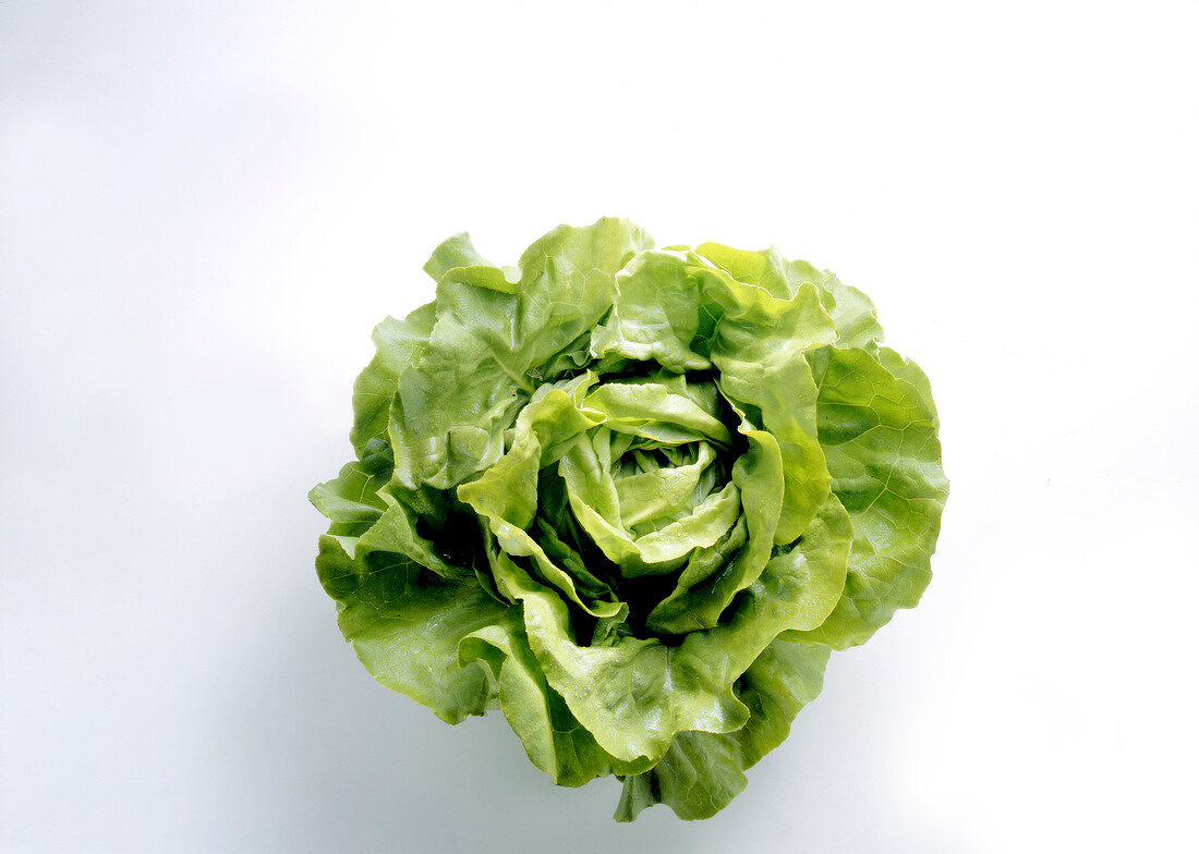 Fresh lettuce on white background