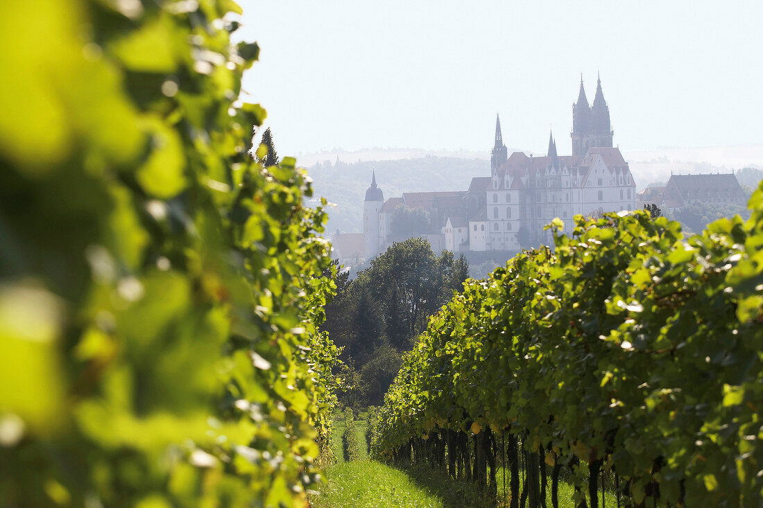 View of Albrechtsburg castle from proschwitz castle, Meissen, Germany